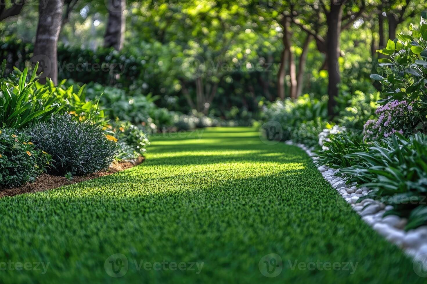 Lush green grass growing in a garden on a sunny day photo