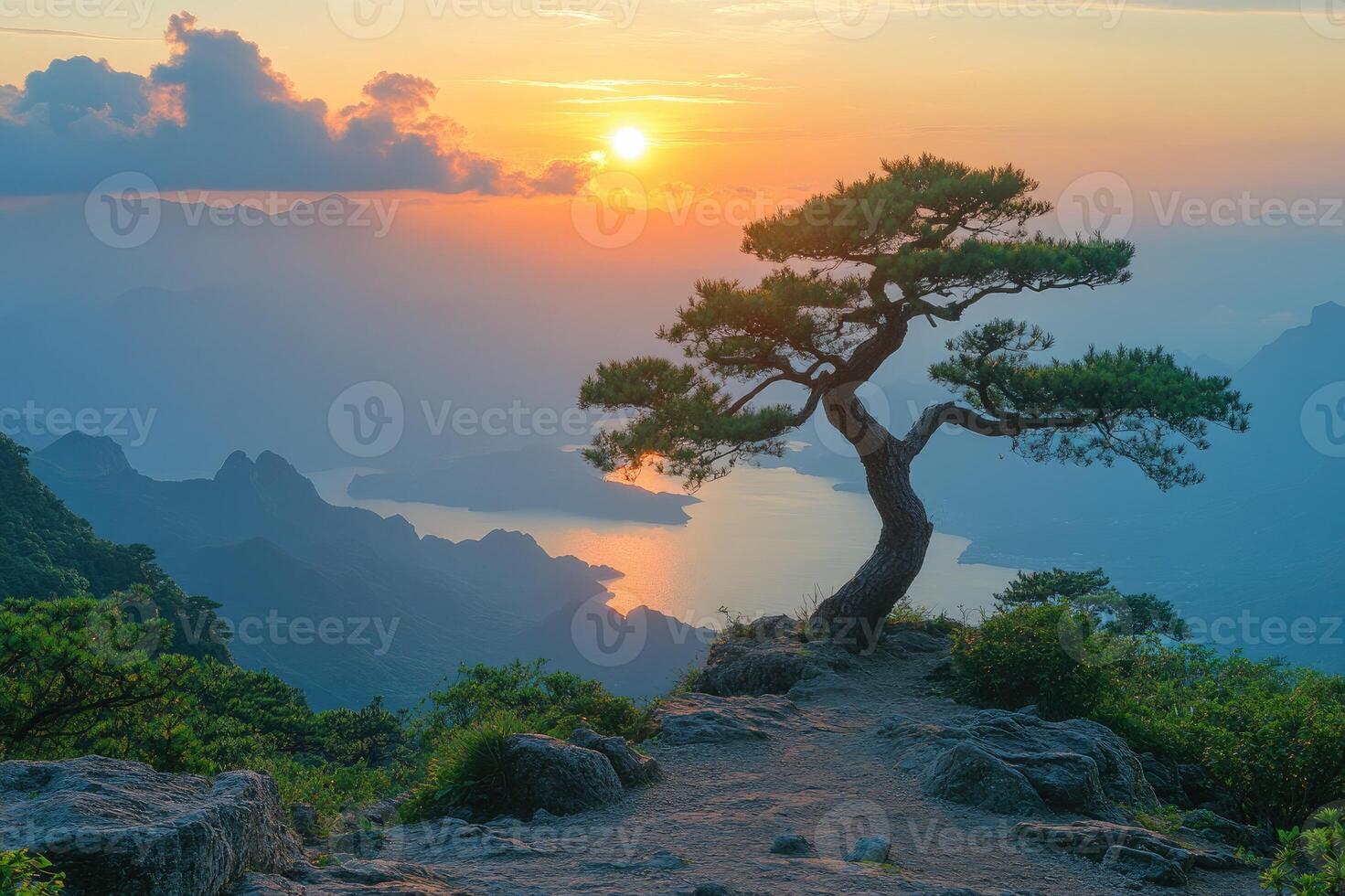 Lone pine tree standing on a rock overlooking a valley of fog at sunrise photo