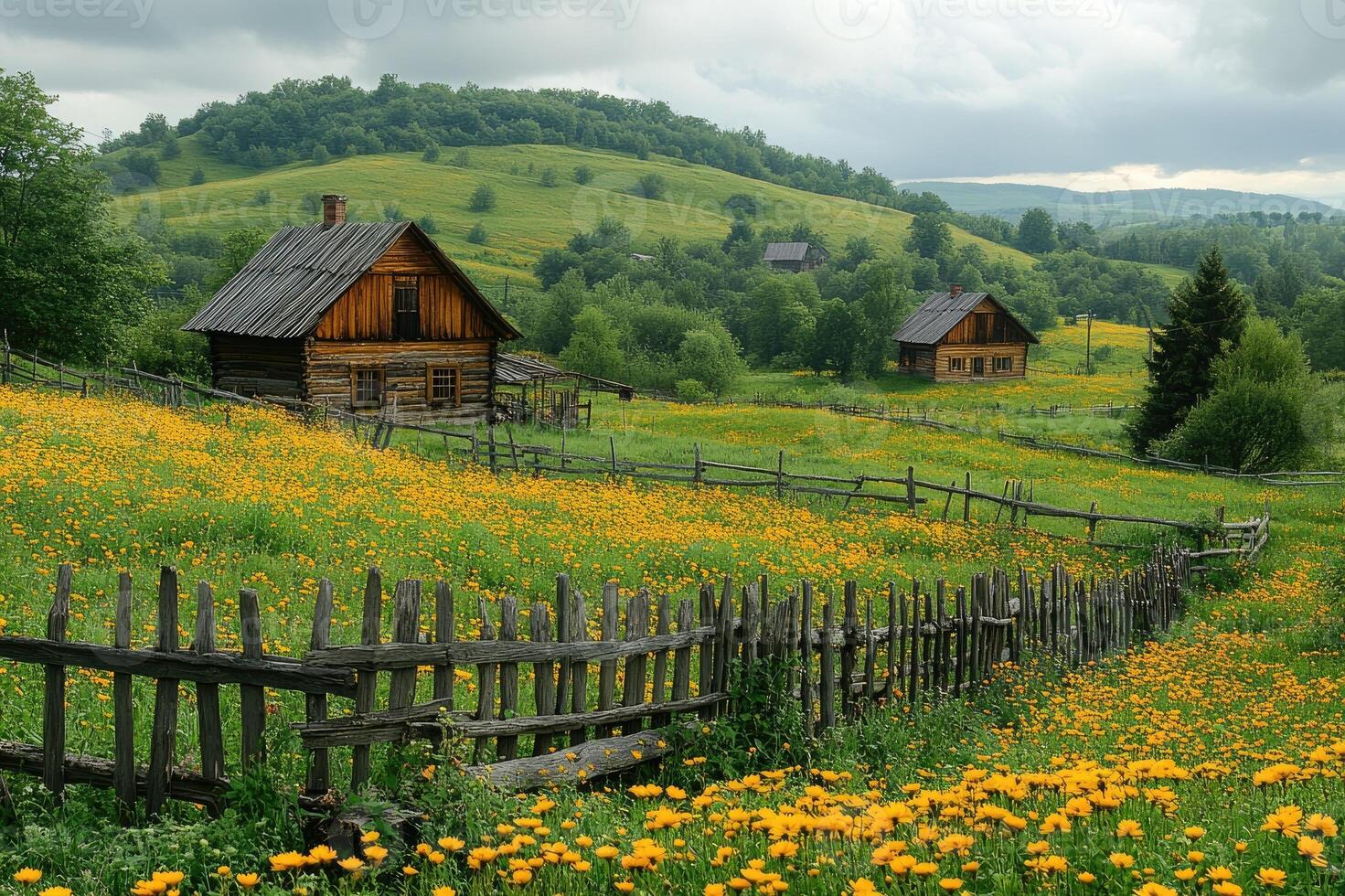 Dirt road leading through yellow wildflowers to wooden country houses photo