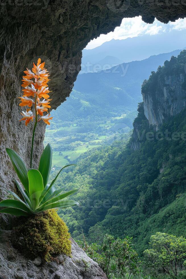Orange orchid blooming on cliff face in lush tropical rainforest photo