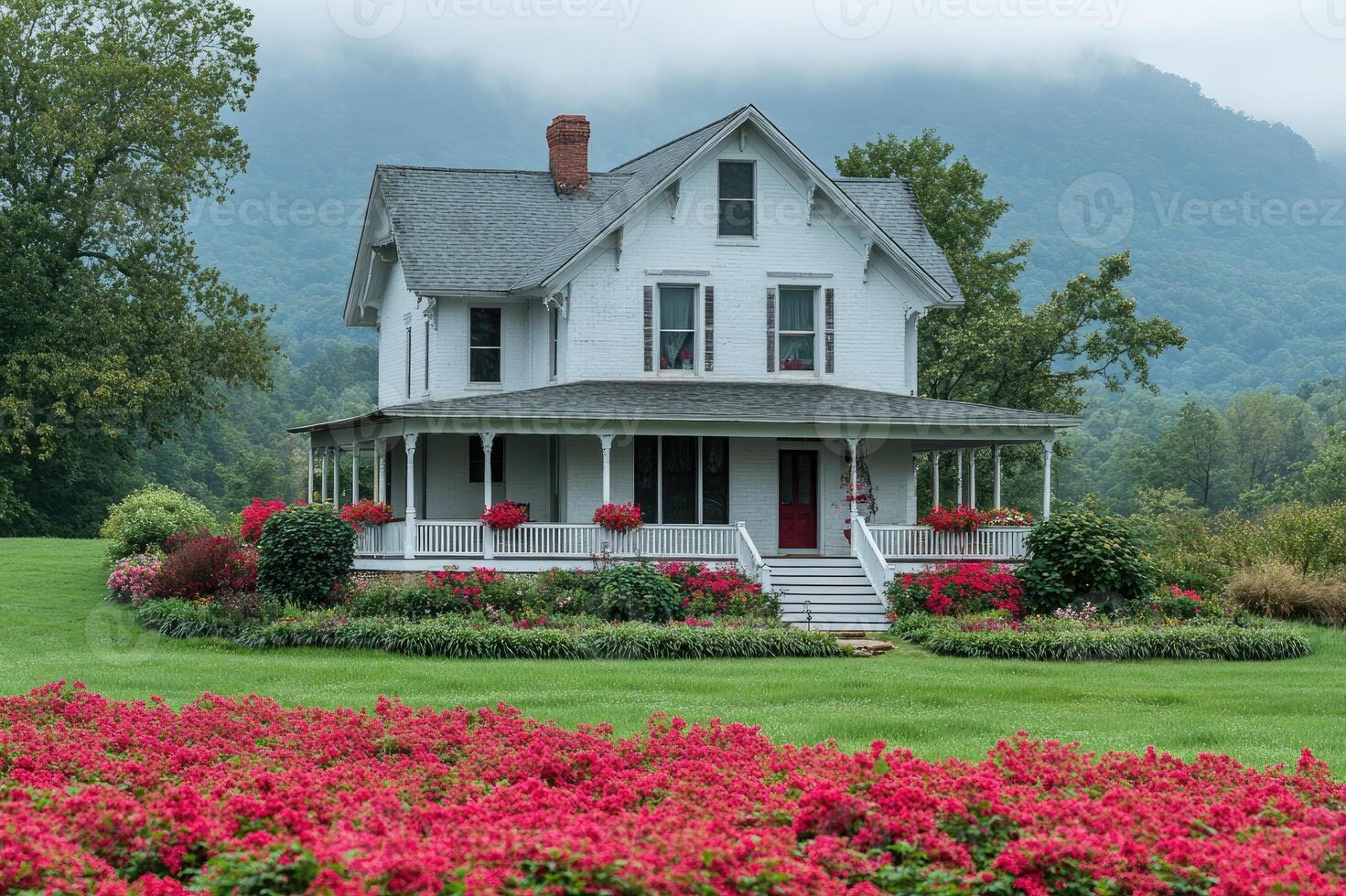 Stone pathway leading to classic white farmhouse surrounded by red flowers photo