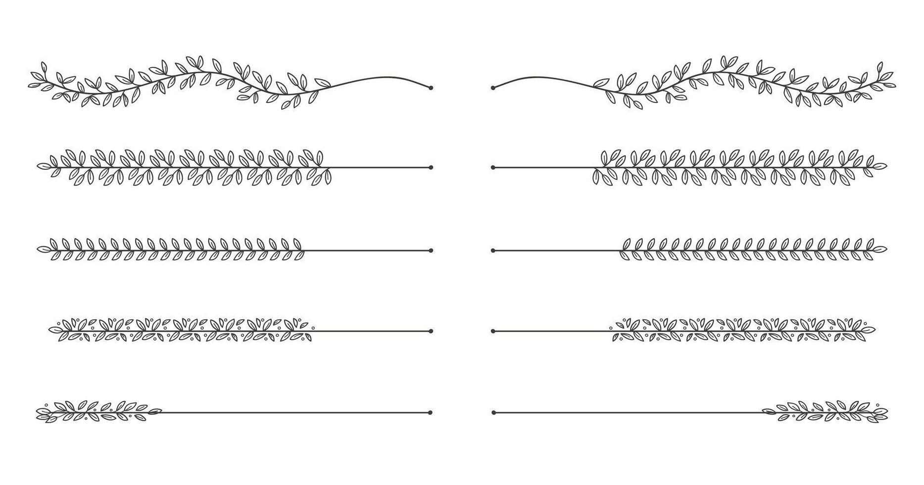 Hand - drawn nature floral vine line divider for text layout separator decoration element collection. illustration vector