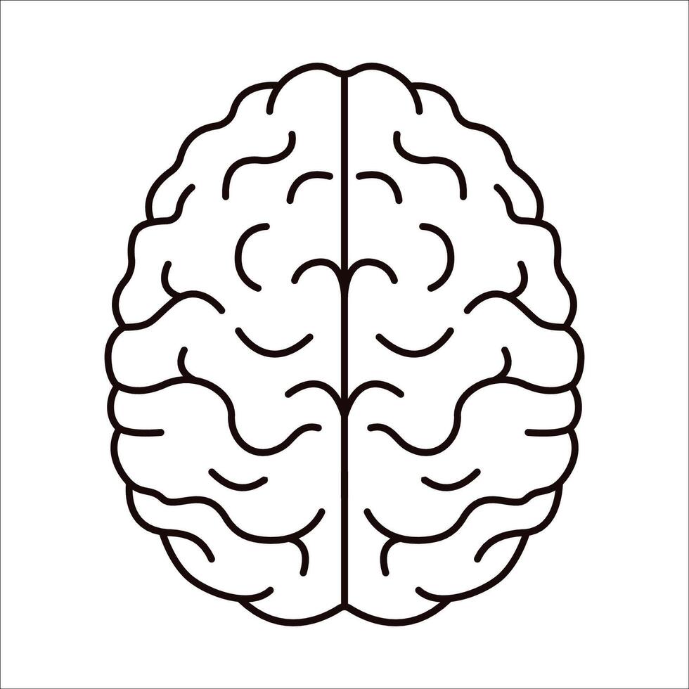 Simple drawing of a brain. Icon design. Outline illustration. vector