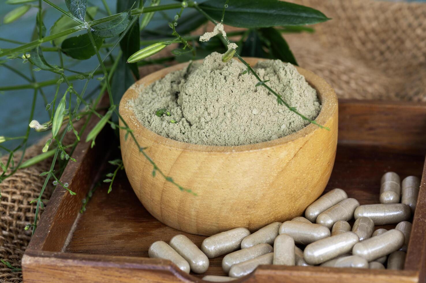 Andrographis paniculata extracts in woodle bowl with herbal capsules and leaves photo