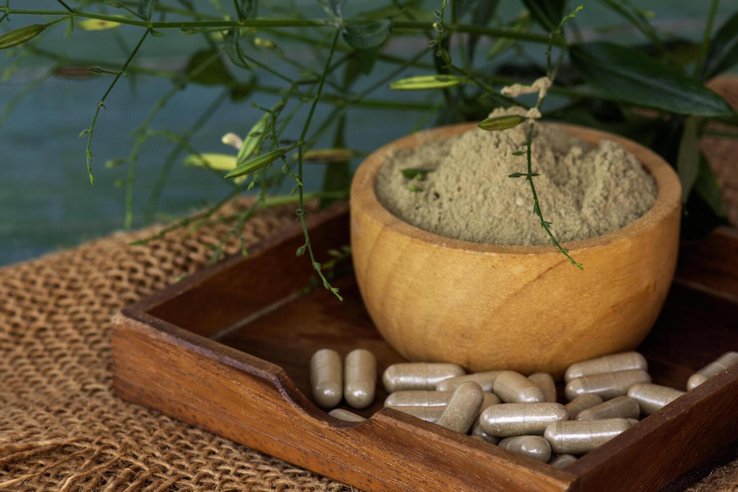 Andrographis paniculata extracts in woodle bowl with herbal capsules and leaves photo