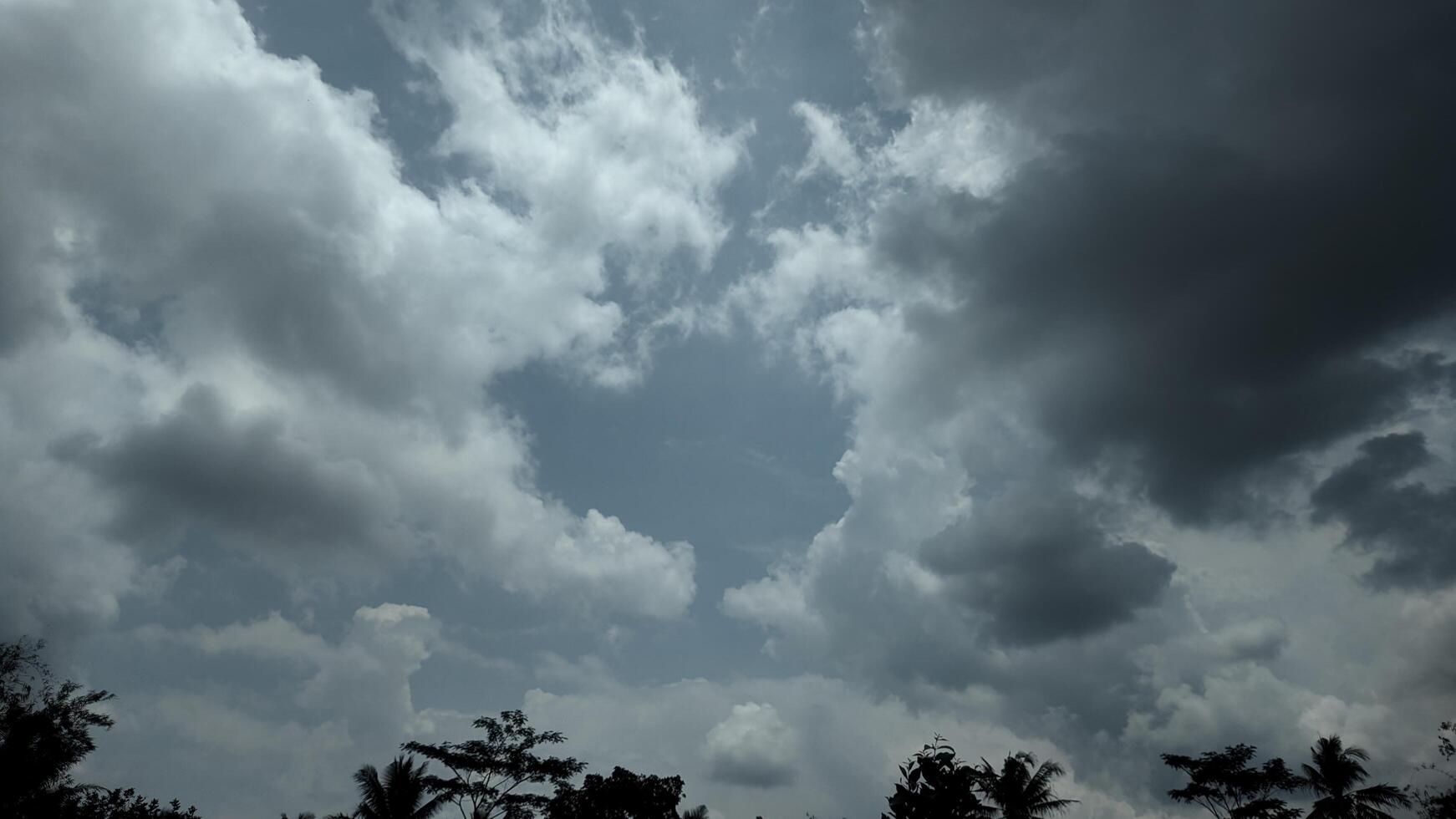 A dark sky with clouds and trees photo