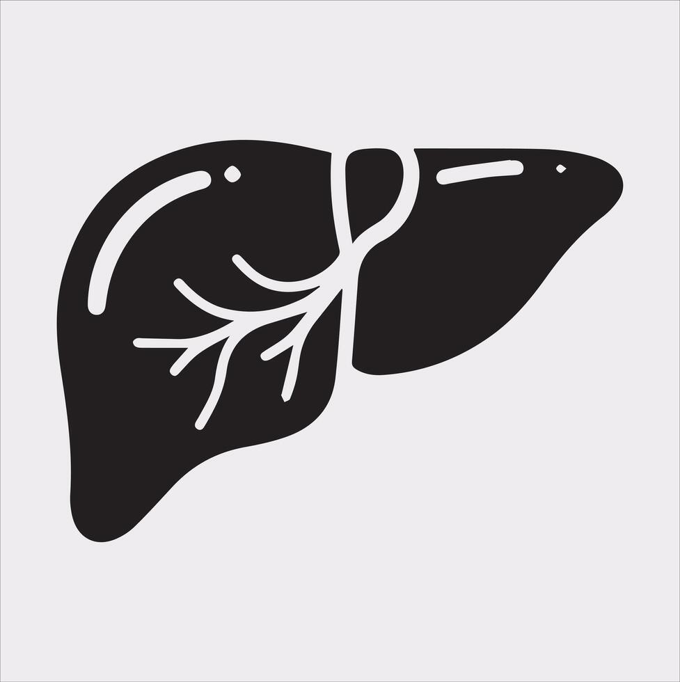 High-Quality Liver Silhouette on a White Background vector