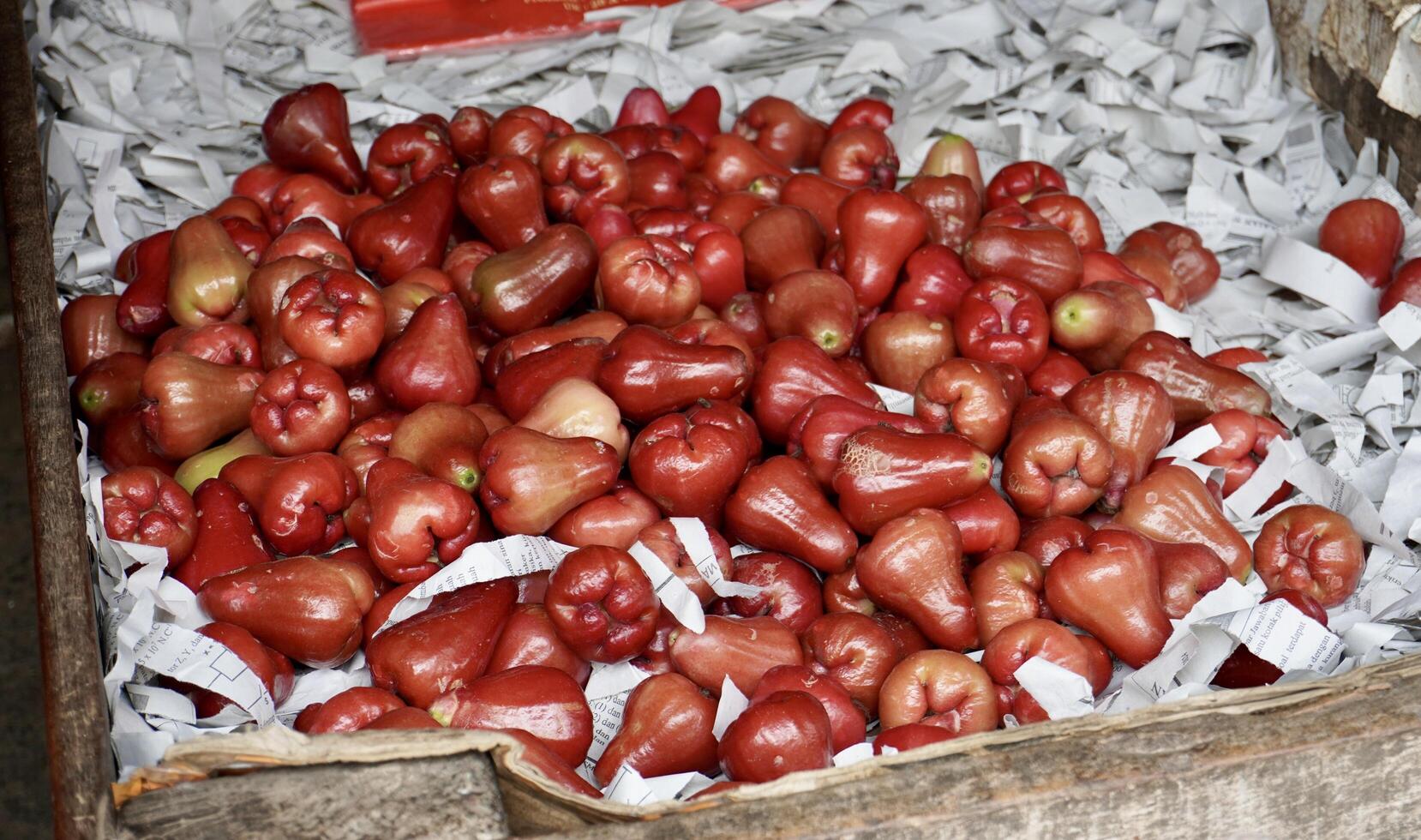 Pile of fresh water guava or jambu air fruits isolated on horizontal ratio market stall environment background. photo