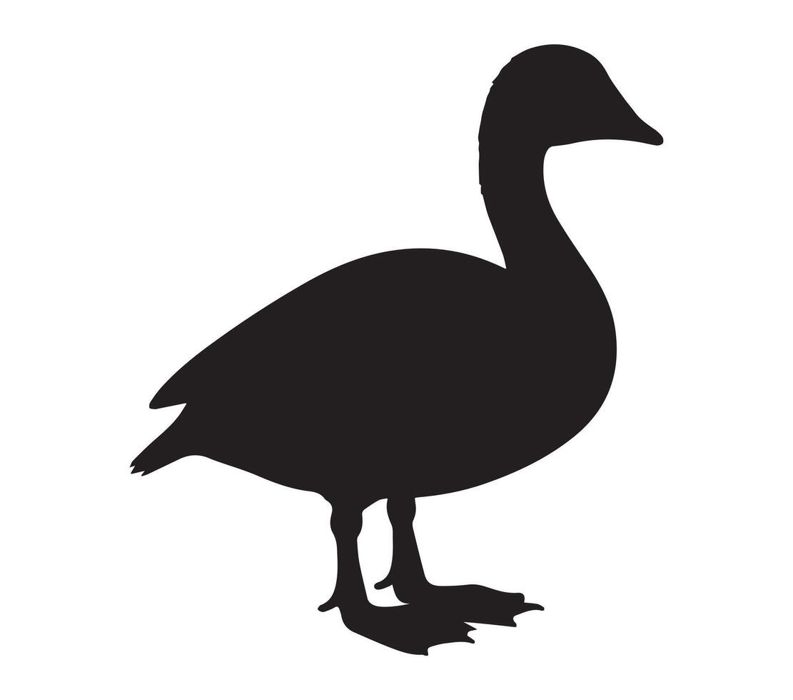 Minimalist African Pygmy Goose Silhouette on White vector