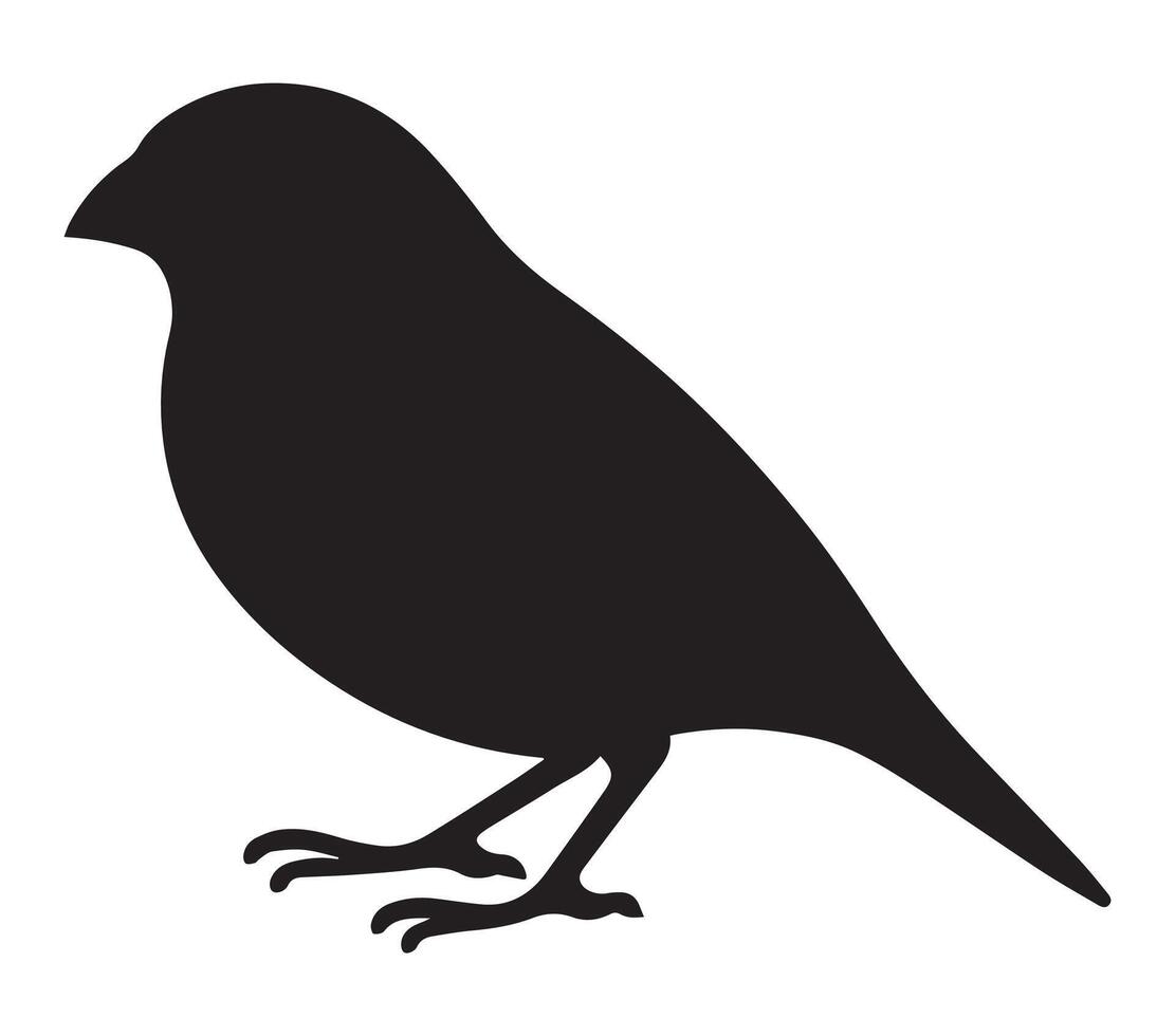 African Quailfinch Silhouette Image on White vector