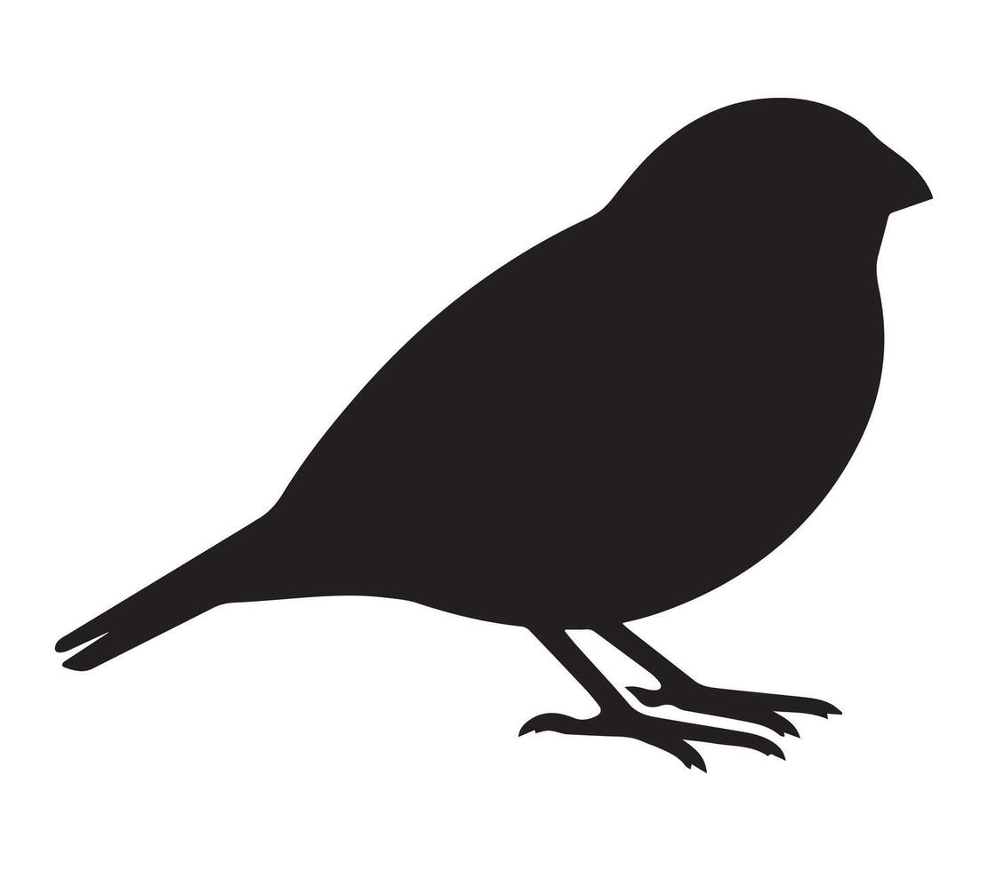Stylized African Quailfinch Silhouette on White vector