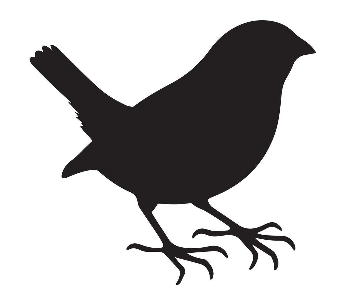 White Background with African Quailfinch Silhouette vector