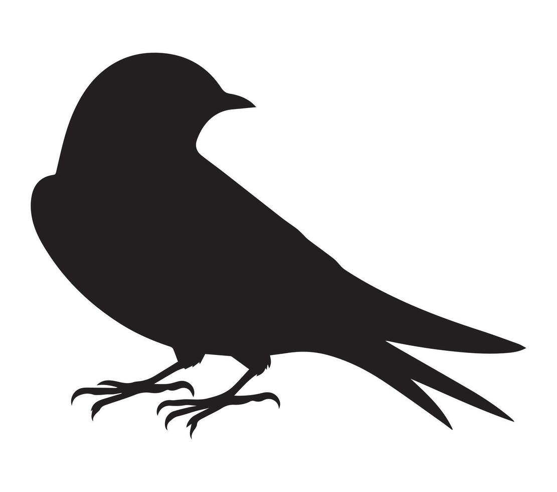African Rock Martin in Black Silhouette on Clean White vector
