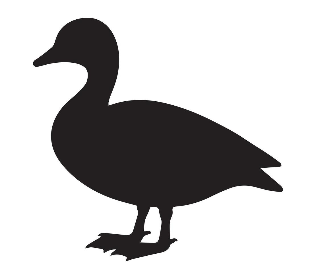 African Pygmy Goose Silhouette Against a White Backdrop vector