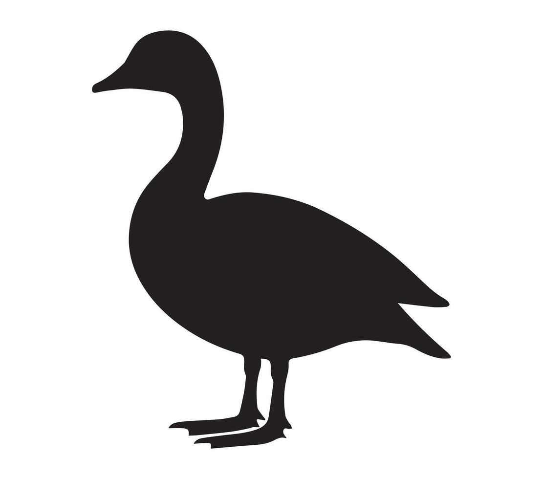 Silhouette of an African Pygmy Goose on a White Background vector