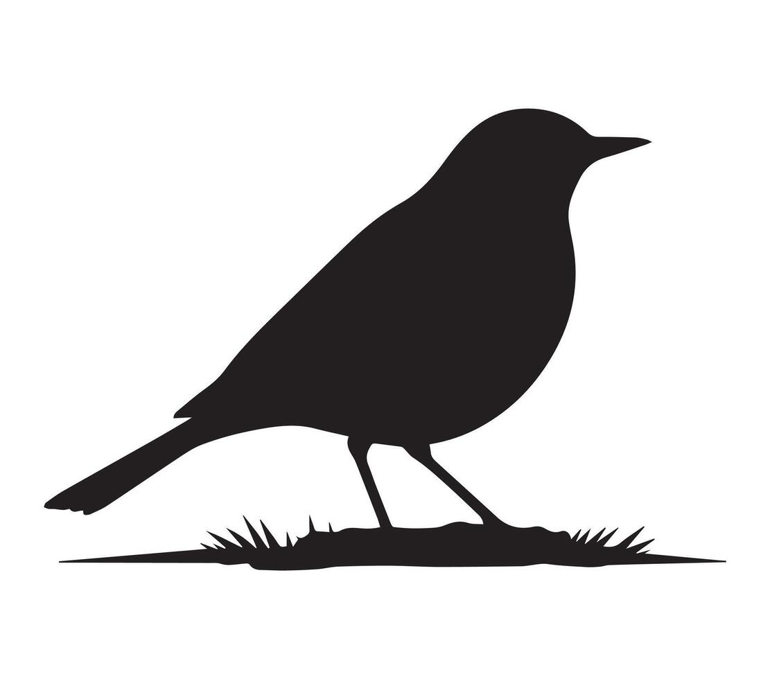 Minimalist African Rock Pipit Silhouette on White vector