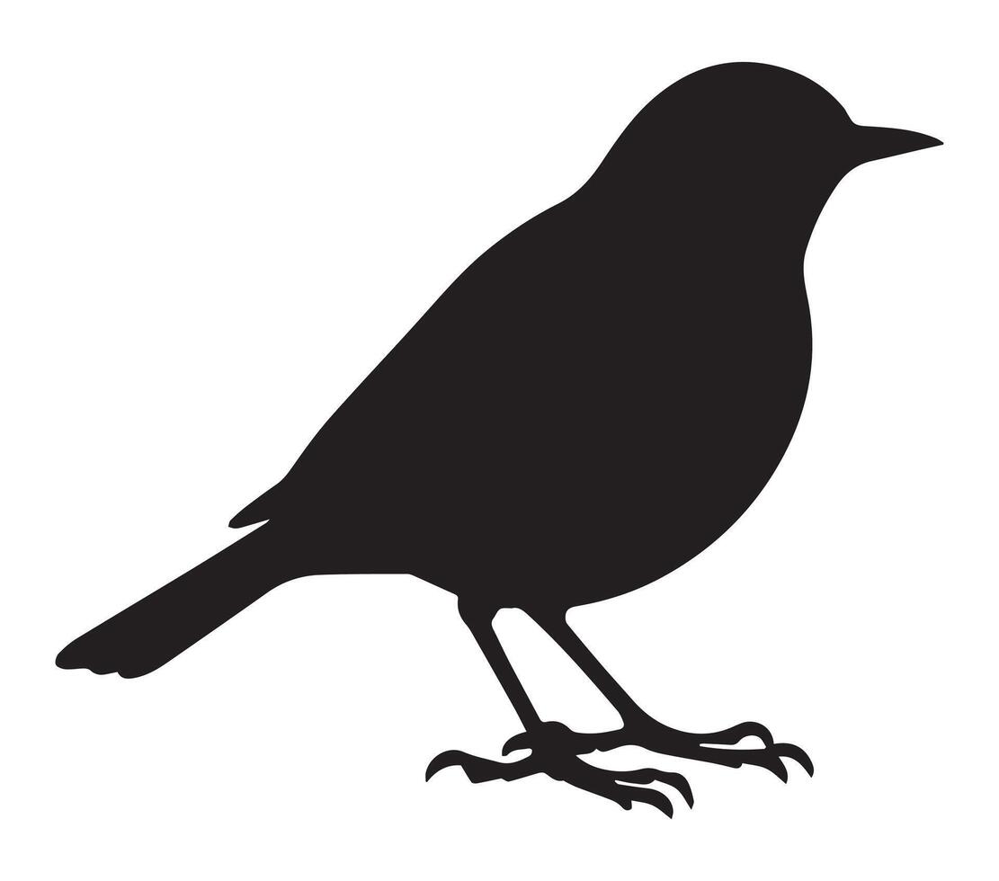 African Rock Pipit Silhouette Art on White vector