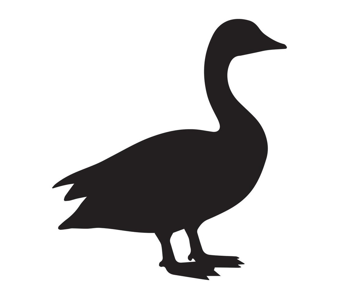 White Background with African Pygmy Goose Silhouette vector