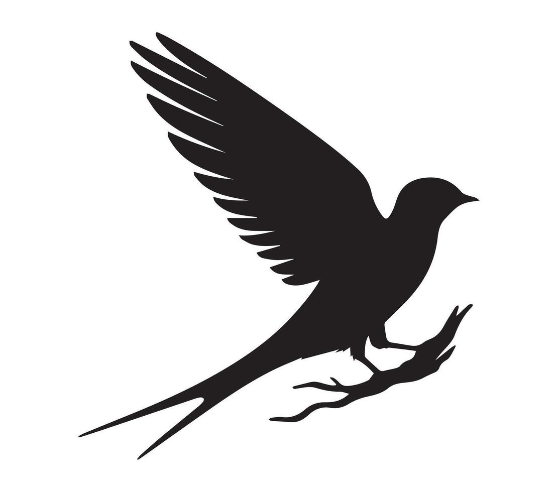 African Rock Martin Shadow on White Canvas vector