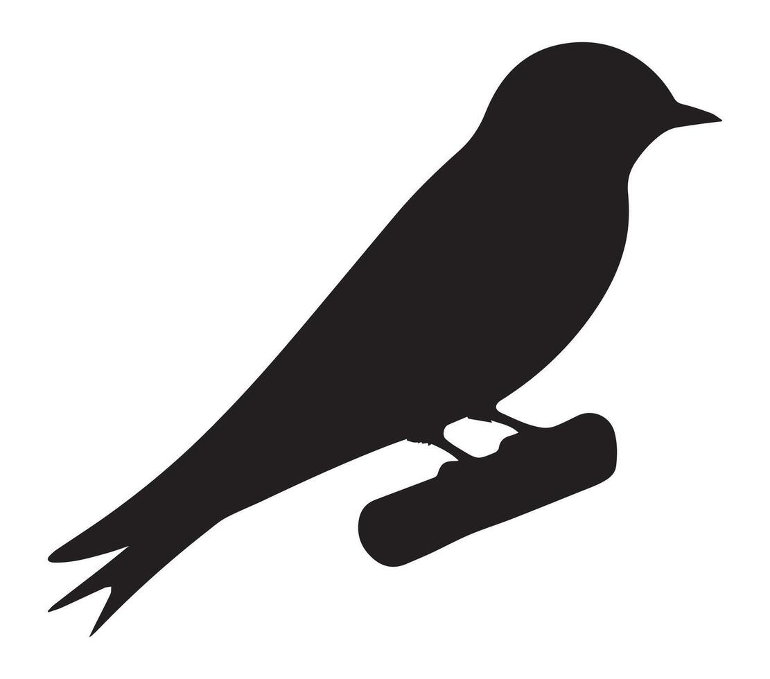 Flat Silhouette of African Rock Martin on White vector
