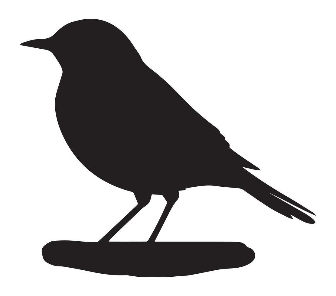 White Background Featuring African Rock Pipit Silhouette vector