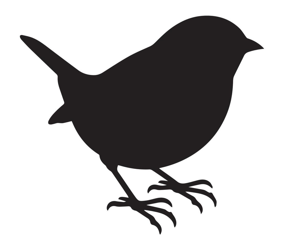 White Canvas with African Quailfinch Silhouette vector