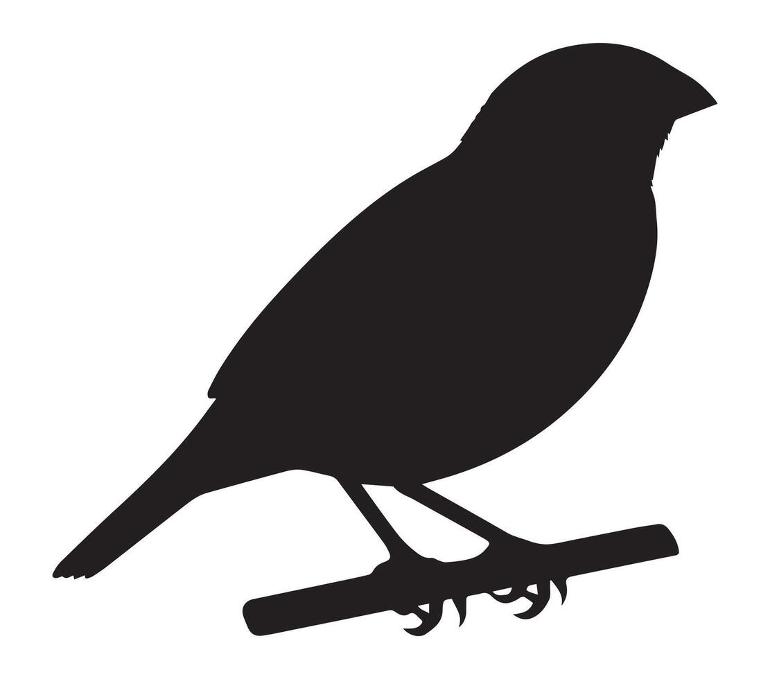 Silhouette Illustration of an African Quailfinch on White vector