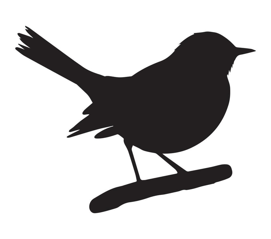 Silhouette of African Rock Pipit with White Background vector
