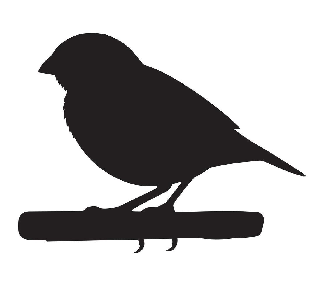 Graphic Silhouette of African Quailfinch on White vector