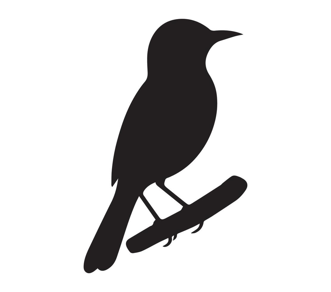Silhouette Form of African Red-eyed Bulbul on White vector