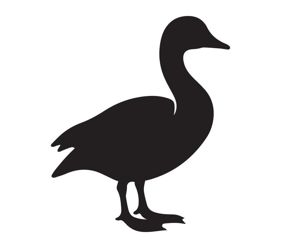 African Pygmy Goose Silhouette Featured on White Canvas vector