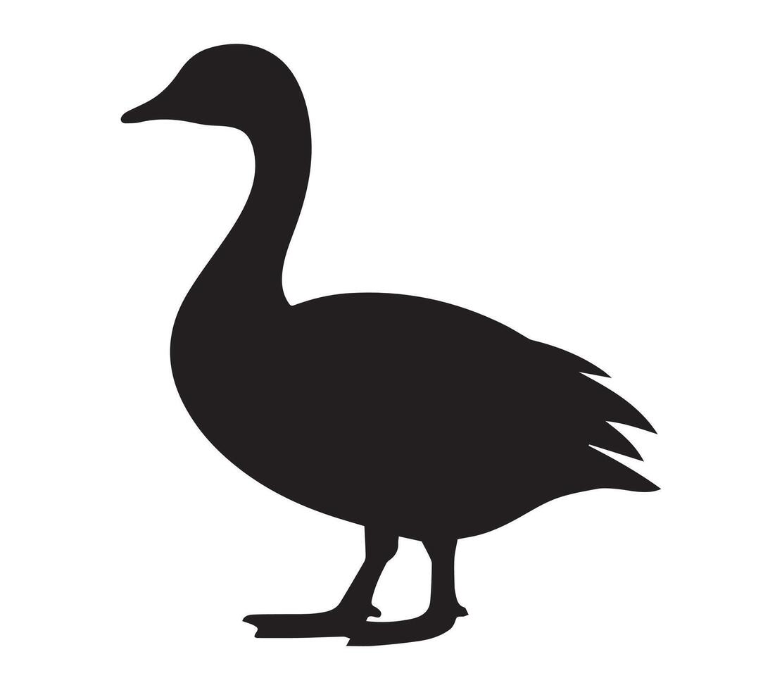 Dark Silhouette of African Pygmy Goose on White vector