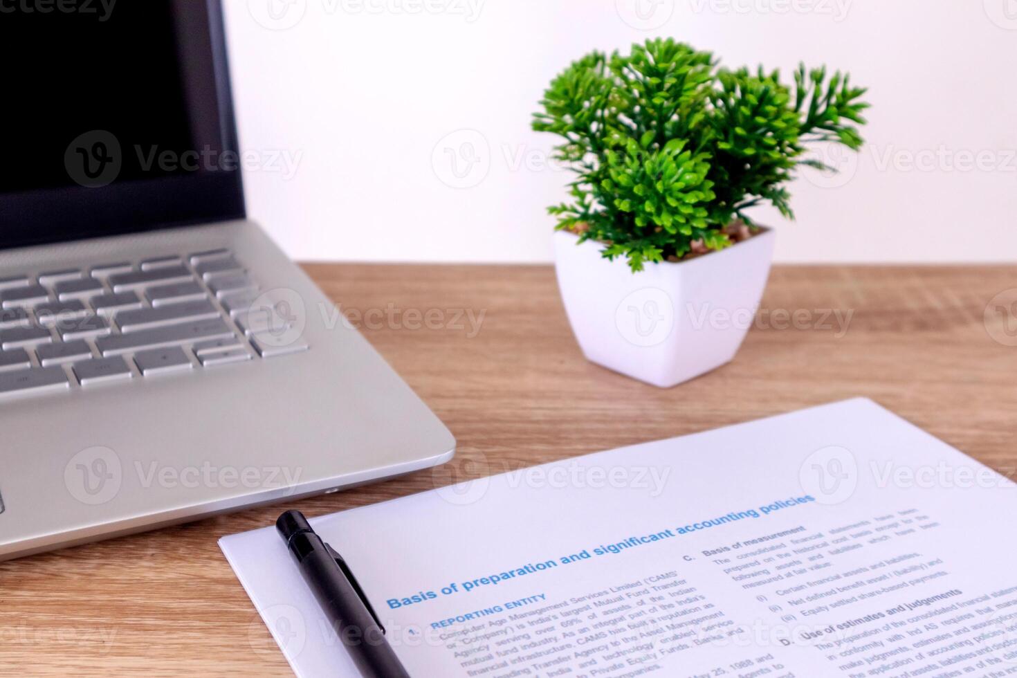 View of an accountant's desk with laptop, paperwork, and plants in pot photo