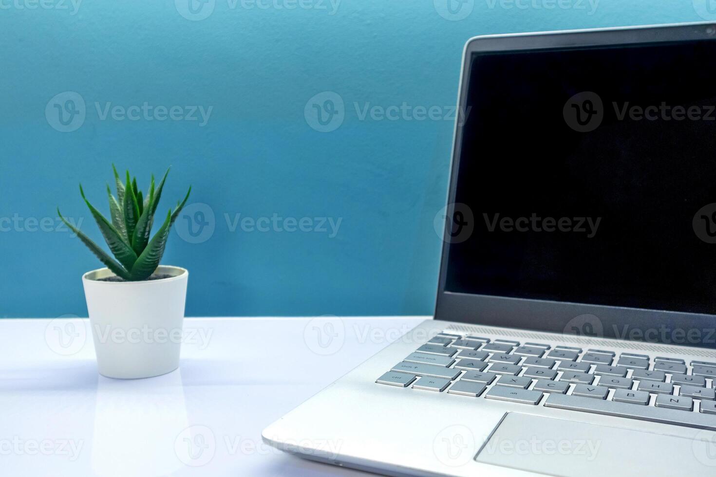 A laptop with blank screen and a artificial plant in pot on the table photo