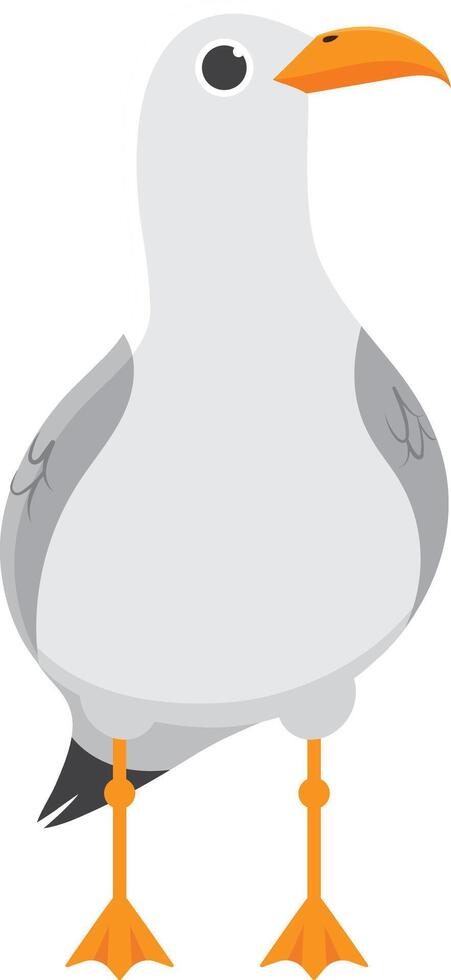 Cartoon seagull standing on two legs, with grey wings, white body and orange beak and legs. Ideal for children books or animal infographics vector