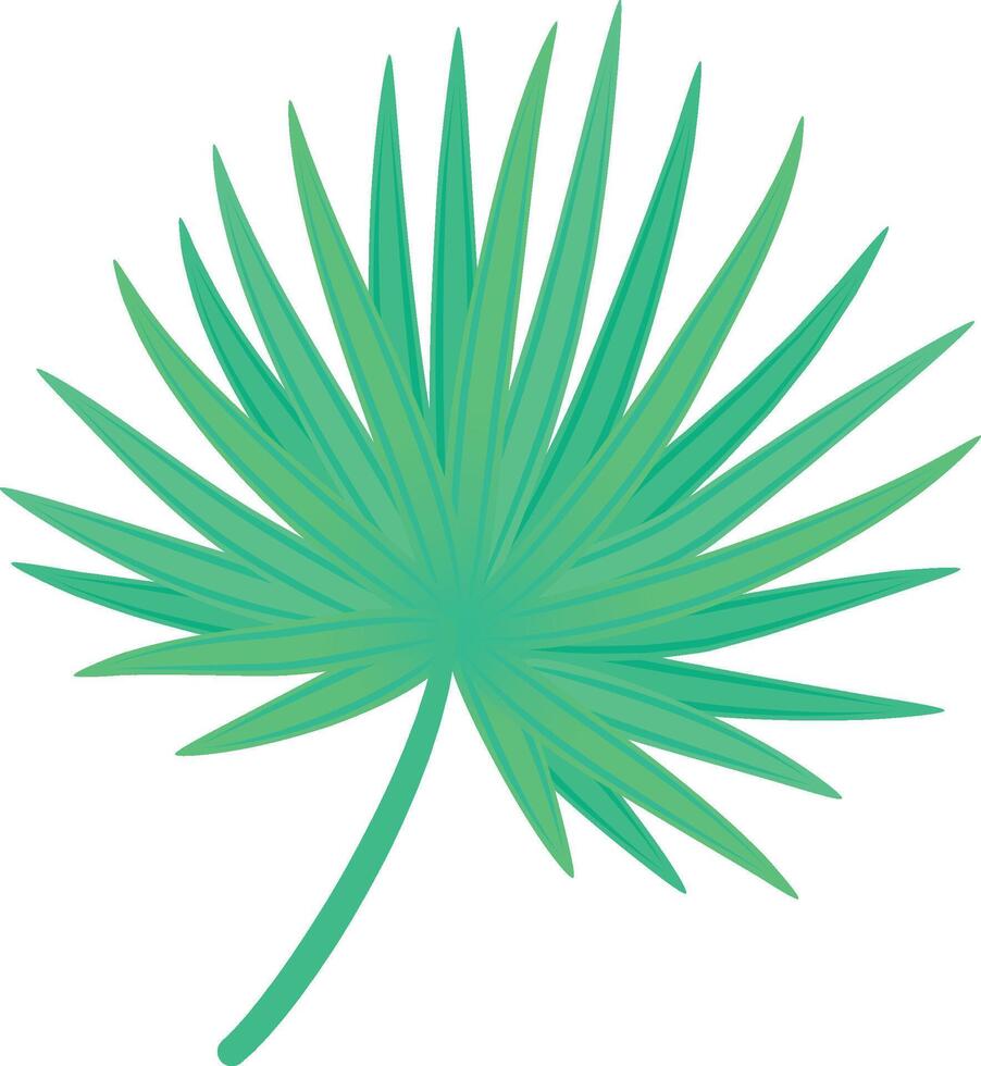 Tropical palm leaf in vibrant green, symbolizing lush tropics and warm climates, perfect for adding exotic nature to any project vector