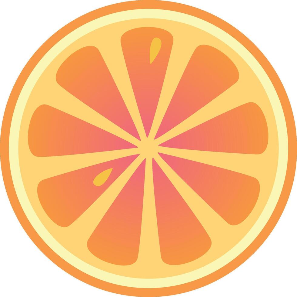 illustration of a grapefruit slice with a gradient color scheme, emphasizing the juicy and refreshing nature of the fruit vector