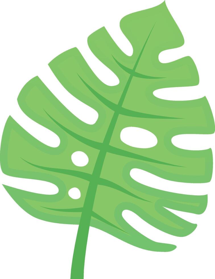 Single green monstera leaf growing upwards, with iconic splits and holes, isolated on a white background. Perfect for projects related to nature, plants, and tropical themes vector