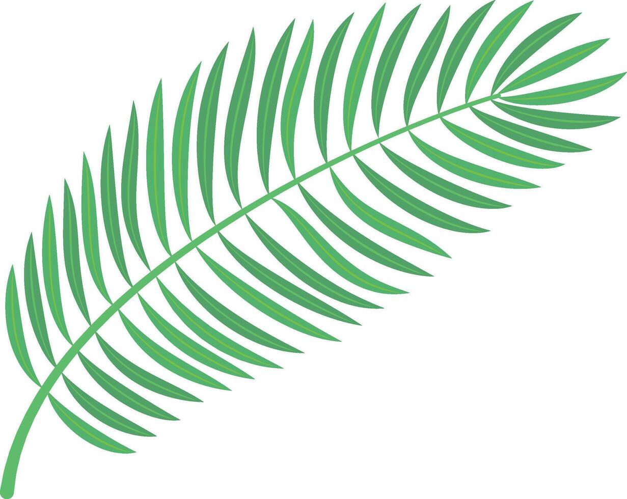 Green tropical palm leaf growing upwards, isolated on a white background. Perfect for designs related to nature, summer, or tropical themes vector