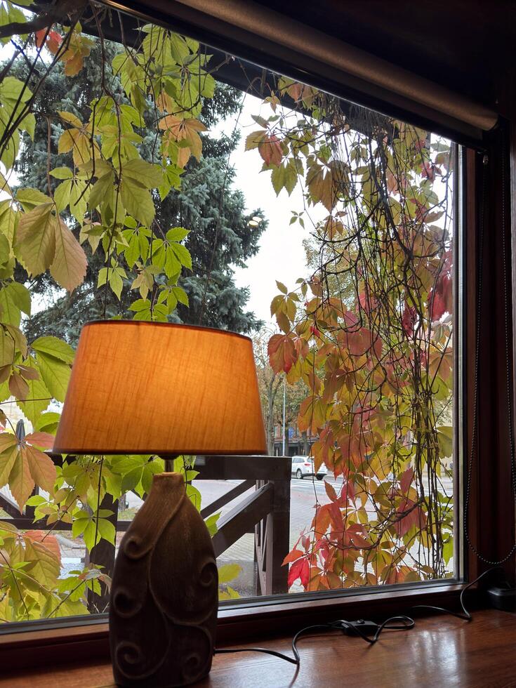 A minimalist cafe interior with a touch of autumn charm. The warm lamp and wooden table create a cozy atmosphere, while the vibrant foliage outside adds a pop of color. photo