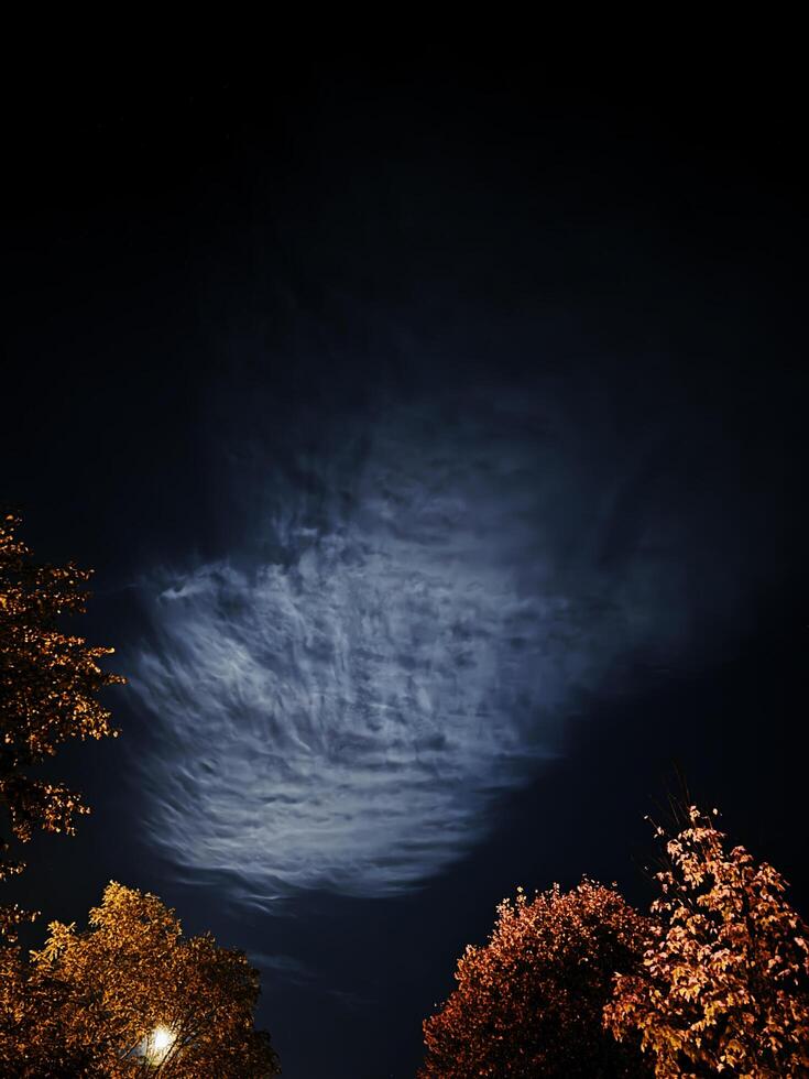 A crescent moon is partially hidden behind tree leaves, casting an ethereal glow on the low-hanging clouds below. photo
