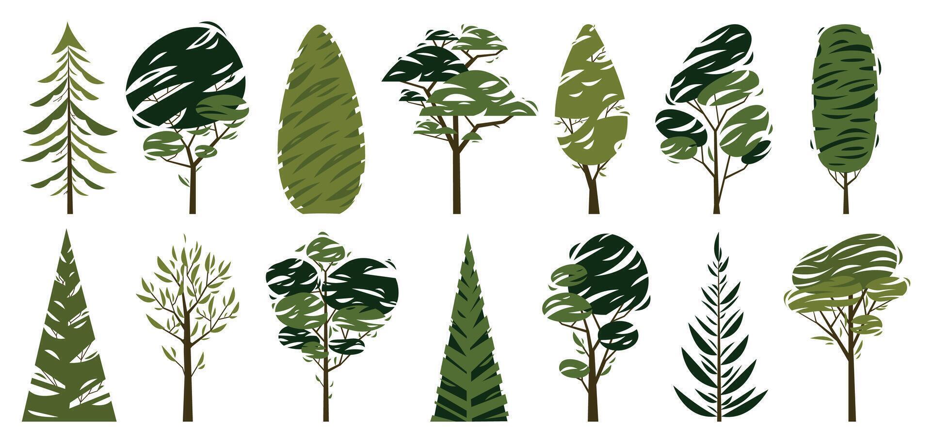 Cartoon trees. Green forest plants with different leaves, nature landscape decorative elements, organic floral eco botany elements. isolated set vector