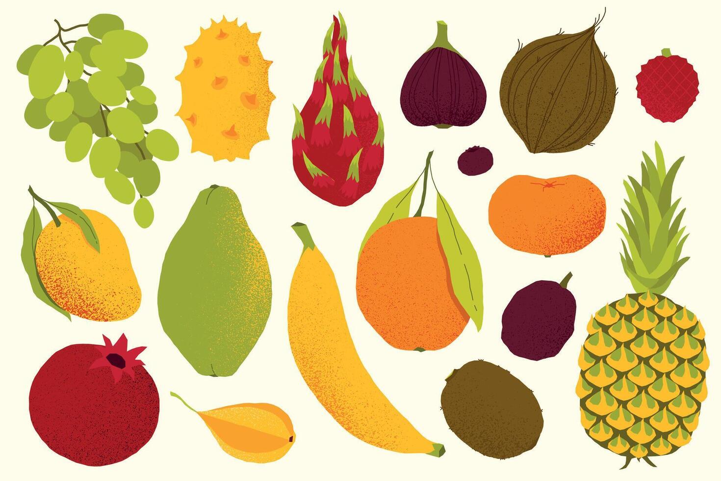 Exotic fruits. Cartoon tropical sweet organic berries, kiwi gooseberry mango pomegranate rambutan and dragon fruit. isolated set vector