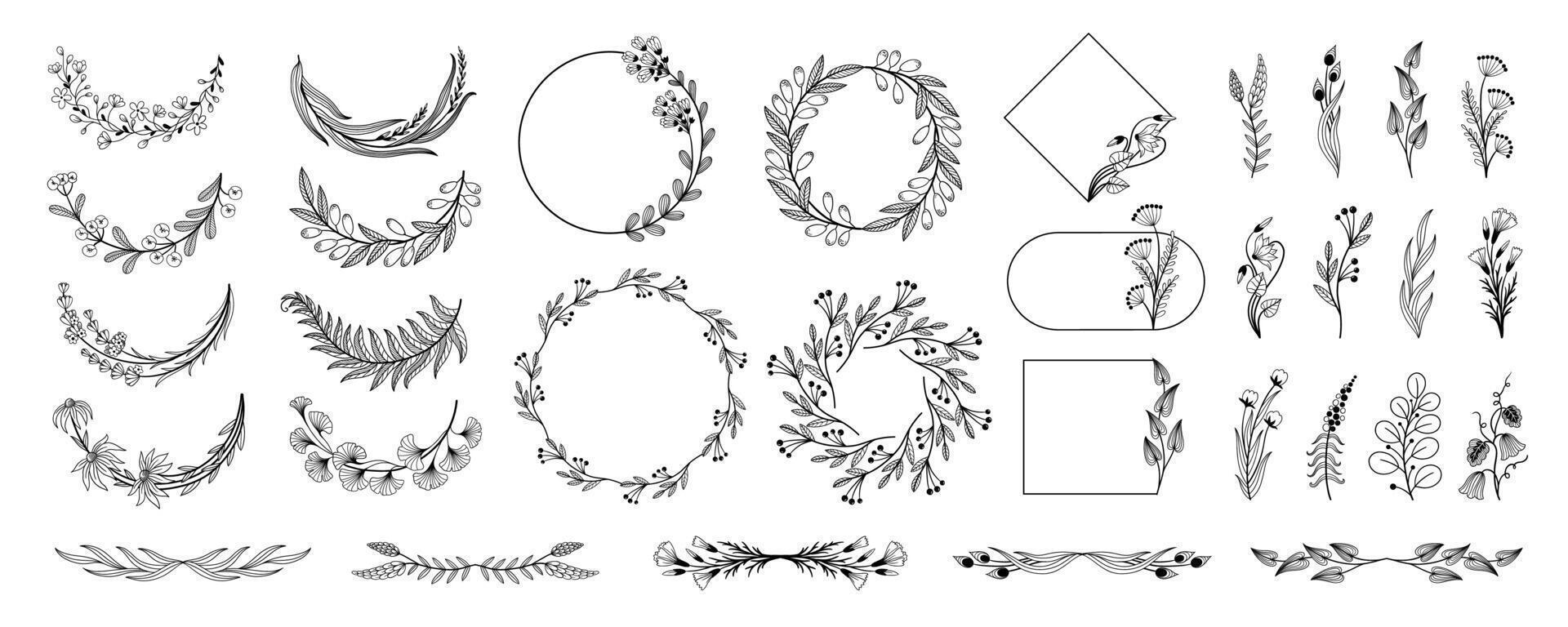Floral borders and dividers. Elegant decorative plants frames and monogram ornamental dividers for wedding invitation card. isolated set vector