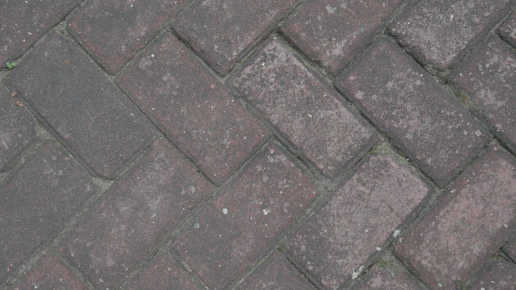 Luxury paver installation at a custom home with blocks Blok photo