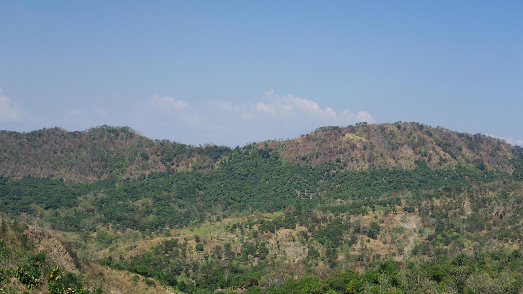 view of hills with plants and trees and blue sky background photo