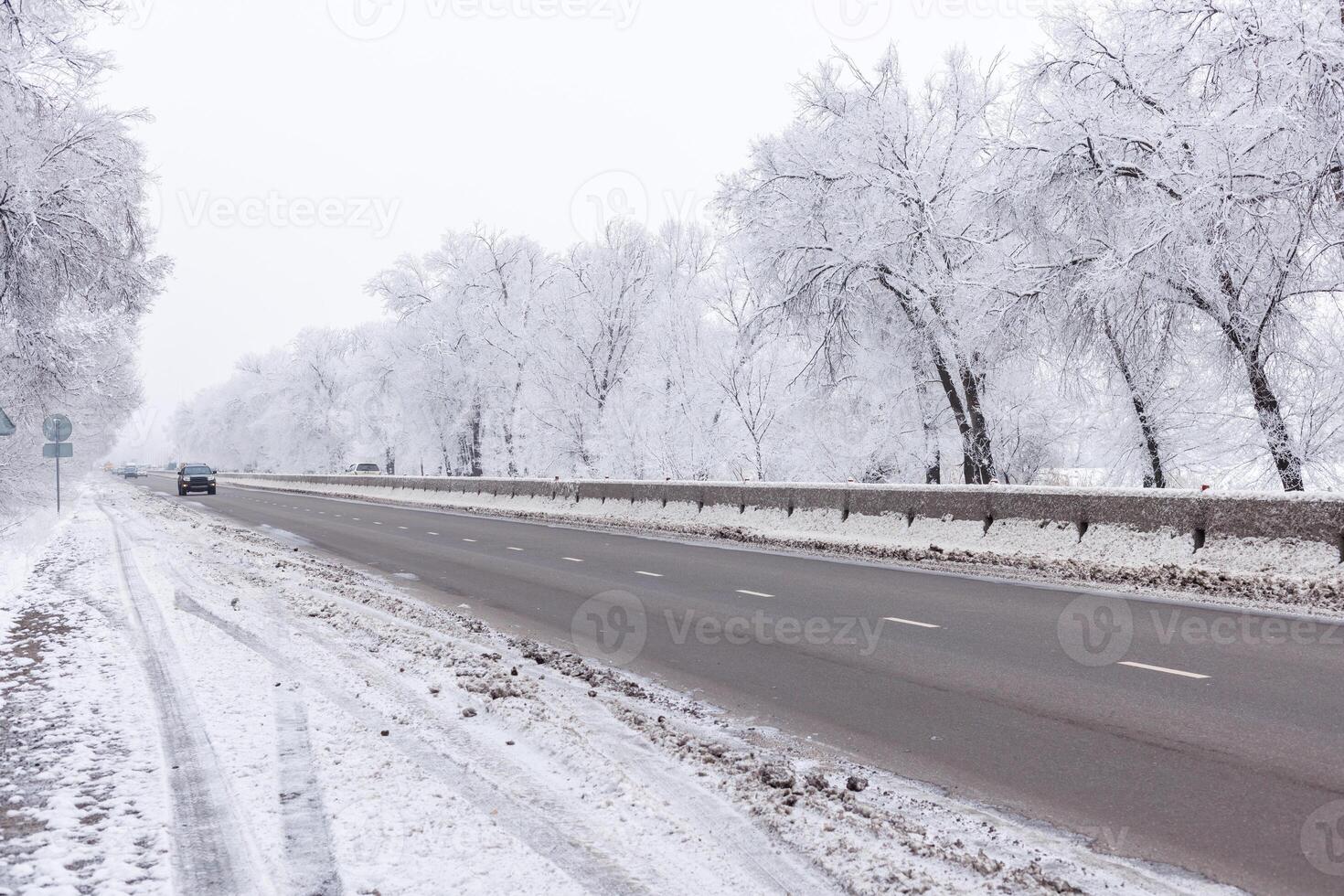 winter interstate road with snow covered trees at overcast day photo