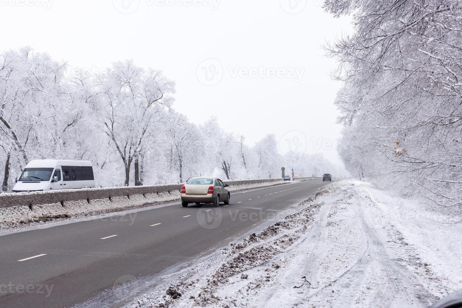 winter interstate road with snow covered trees at overcast day photo