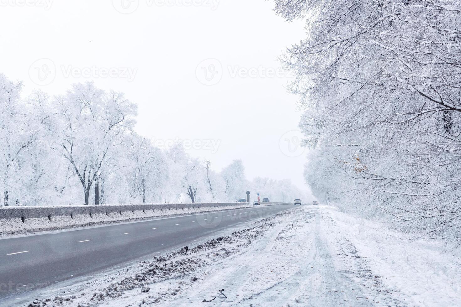winter interstate road with snow covered trees at overcast day photo