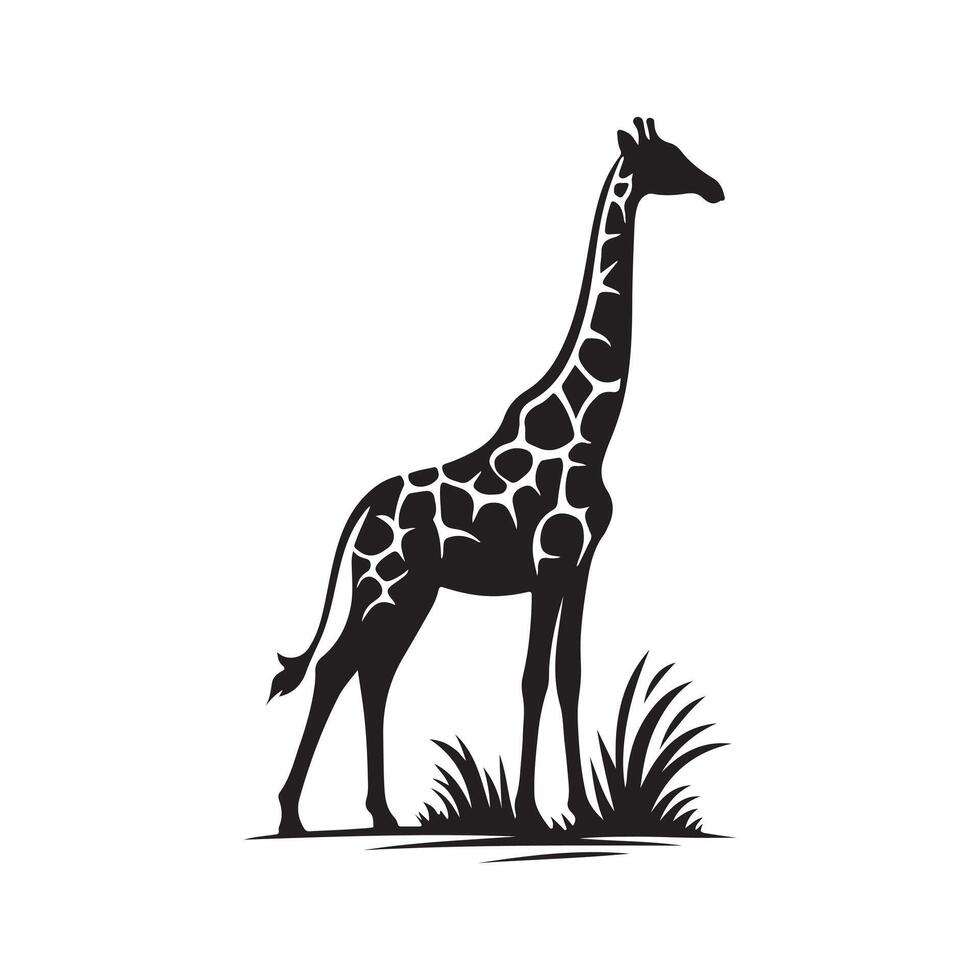 Top Giraffe Art for Print Design. vector